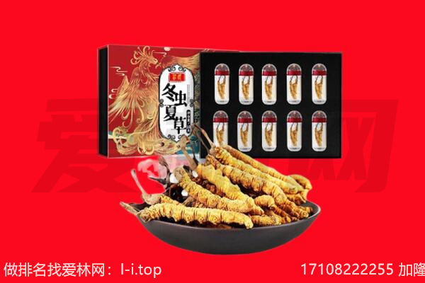 大冶市回收虫草.jpg